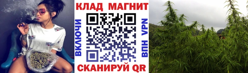 Где купить Златоуст Альфа ПВП Галлюциногенные грибы Кокаин ГАШИШ