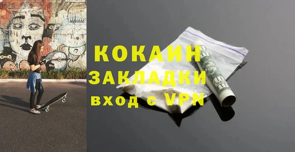 стаф Алзамай