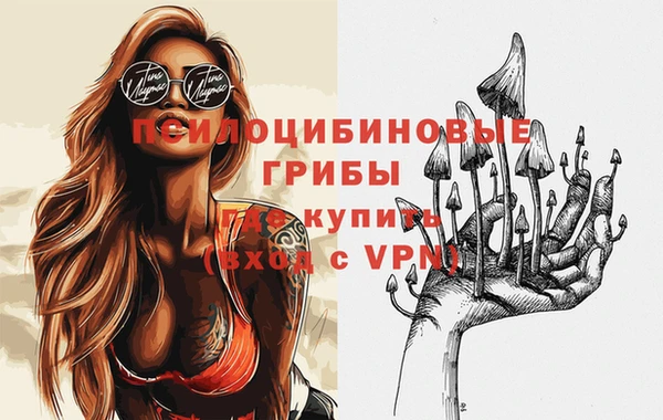 Альфа ПВП Алексин