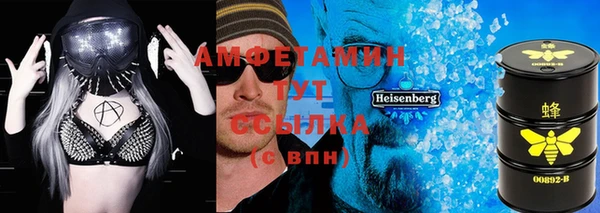 стаф Алзамай