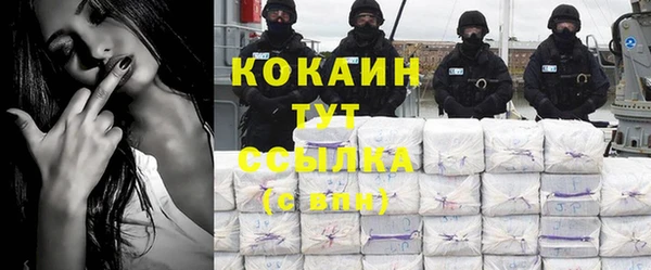 стаф Алзамай