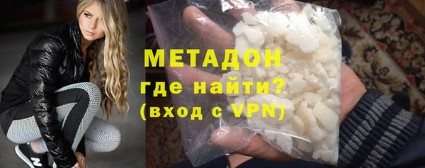 стаф Алзамай