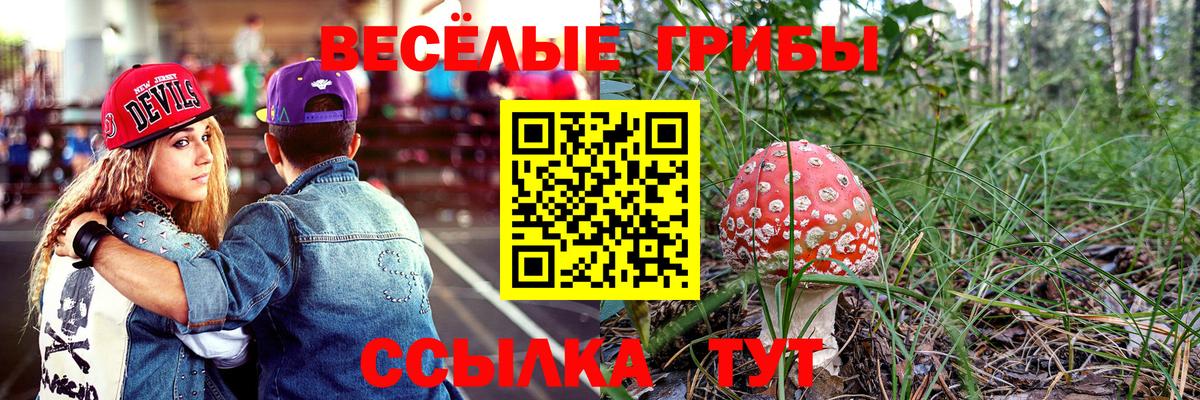 Псилоцибиновые грибы Psilocybe Златоуст